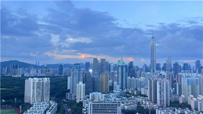 上海闵行喝茶攻略：永业公寓体验揭秘